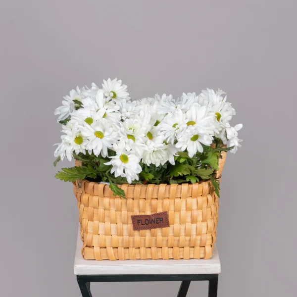 Хризантема Маргарита Белая в Натуральной корзине_1