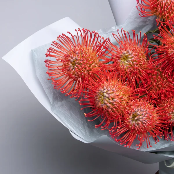 Букет Нутан "Саксешн"