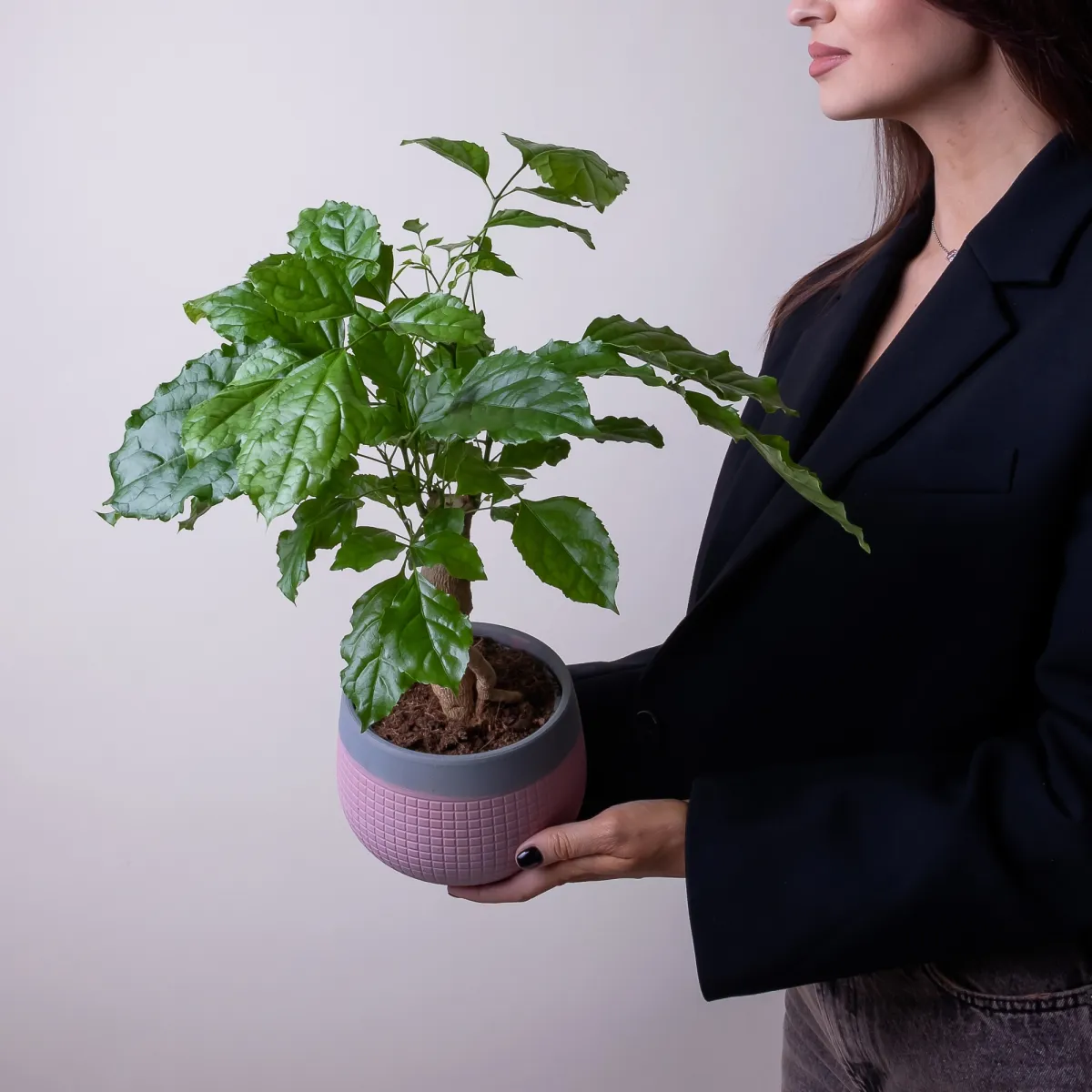 Радермахера в керамике розовая/голубая2