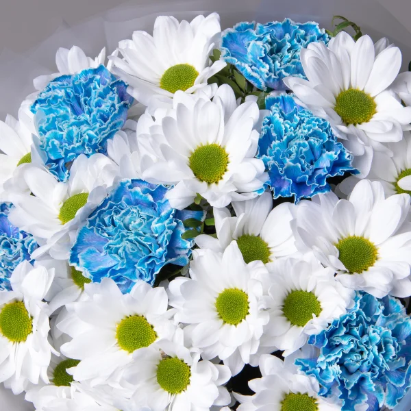Флористический букет "Дуобукет из голубой гвоздики и белой кустовой хризантемы"_4