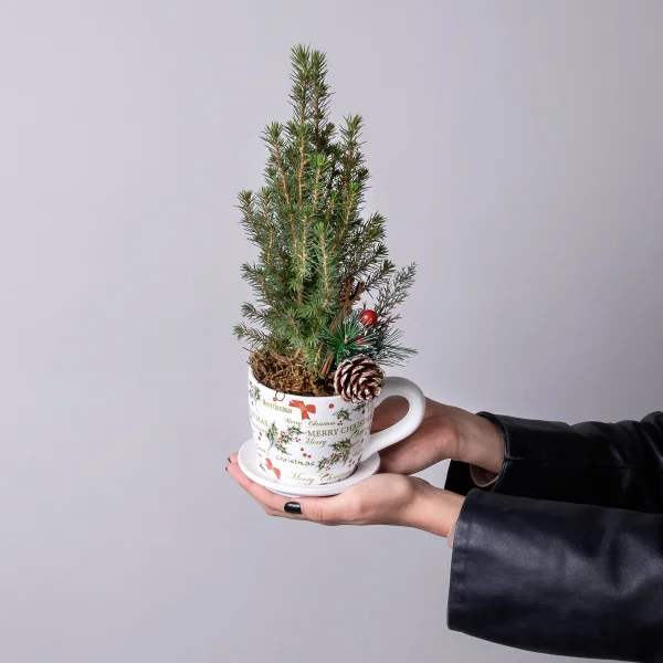 Ель Коника в кружке рожественской PTK24345_2