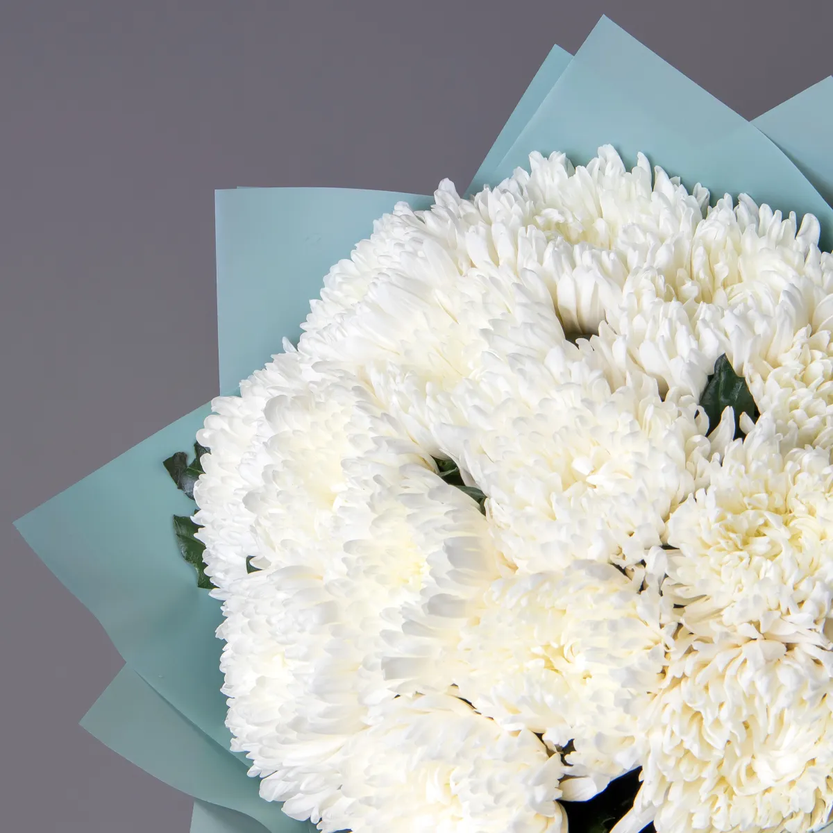 Букет Хризантема одноголовая "Антонов"_3