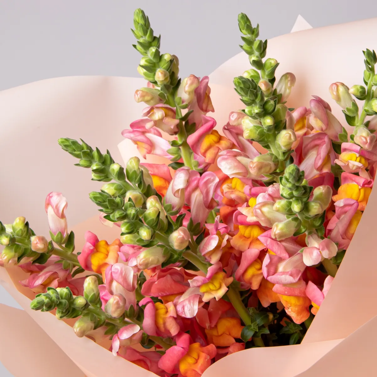 Букет Леувенбек "Оранж"_3