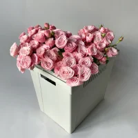 Роза кустовая 