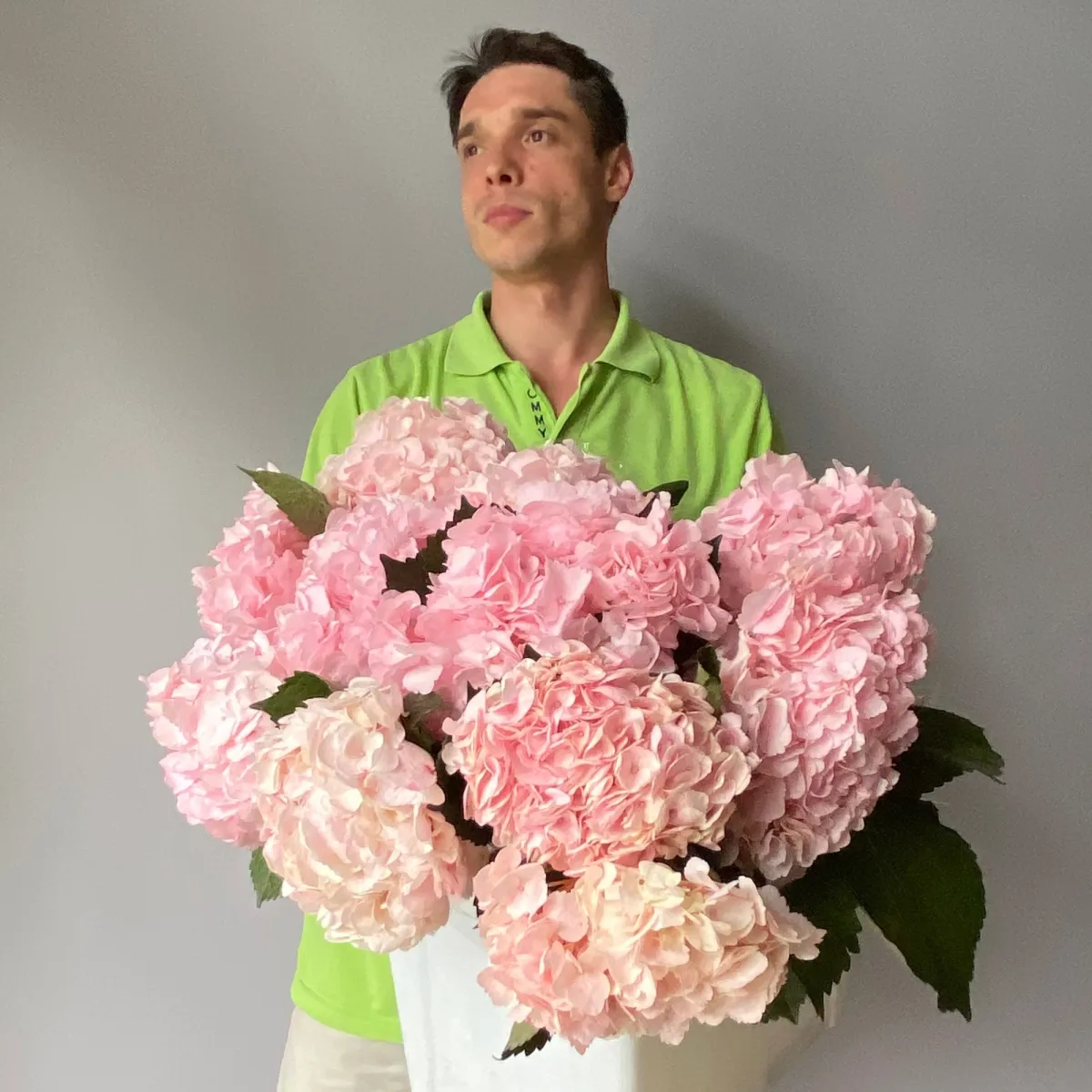 Гидрангия "Премиум Пинк" 2