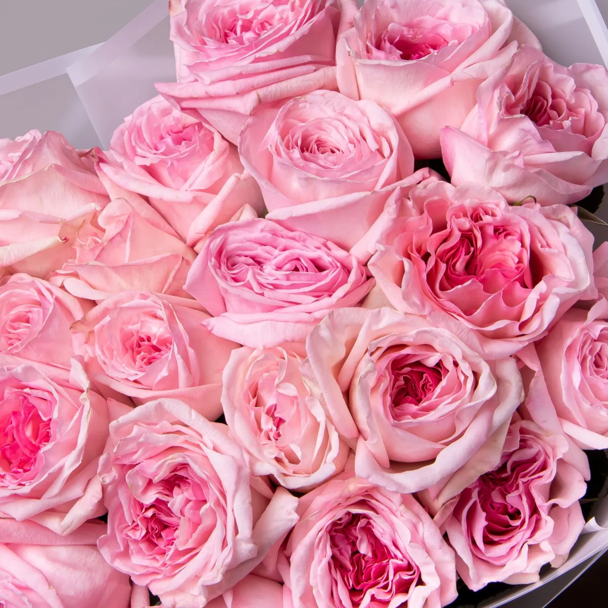 Букет Роза пионовидная "Пинк О