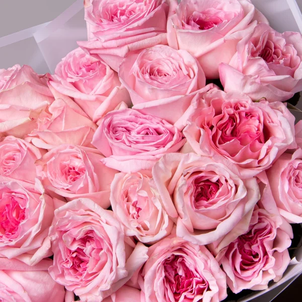 Букет Роза пионовидная "Пинк О'Хара"_4