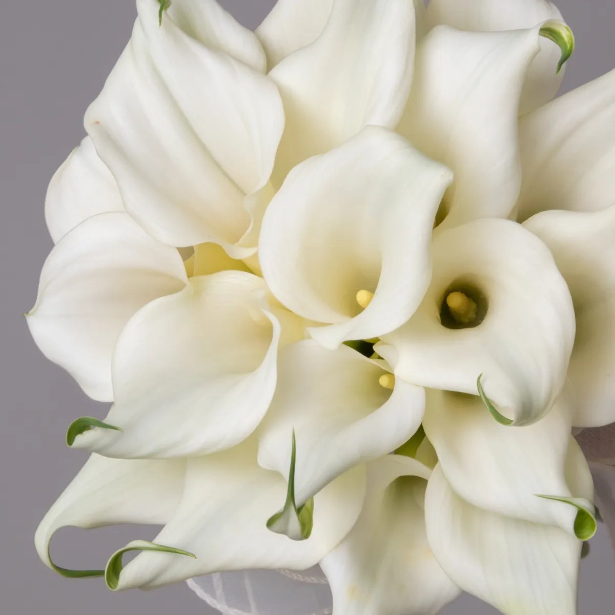 Букет невесты 8_5