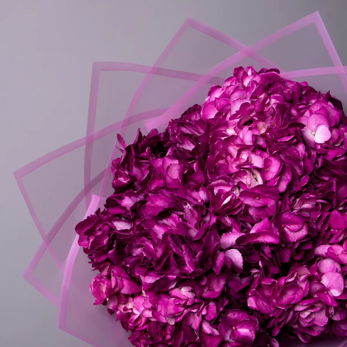 Букет Гидрангия "Премиум Перпл"