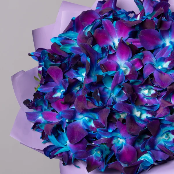 Флористический букет "Космические орхидеи 35 шт"_3