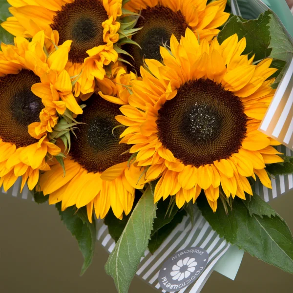 Букет Гелиантус "Оранж Фаер"