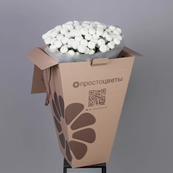 Букет Хризантема кустовая "Ньютон"_5