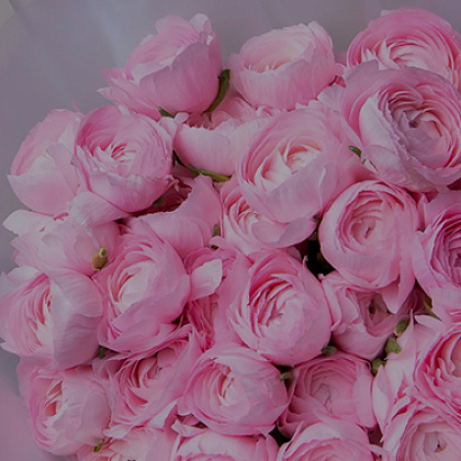 БУКЕТЫ ОТ 2500 ДО 5000