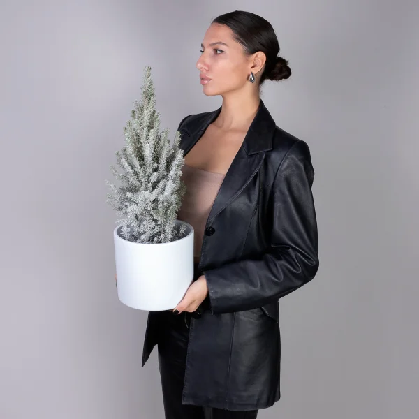 Ель Коника заснеженная PTK24502_2