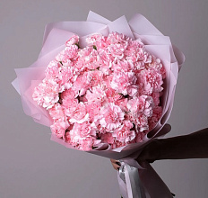 Гвоздика: значение цветка, история названия и символика на языке цветов