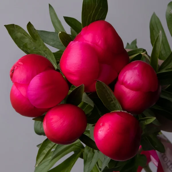 Букет Пион "Флейм"_3