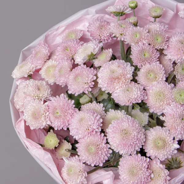 Букет Хризантема сантини "Элисон Смоки"_3