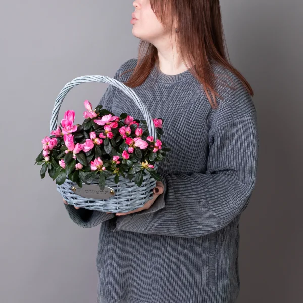Азалия Малиновая в серой корзине_2
