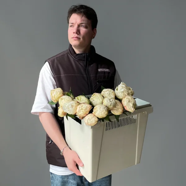 Пион "Энн Казенс"_2