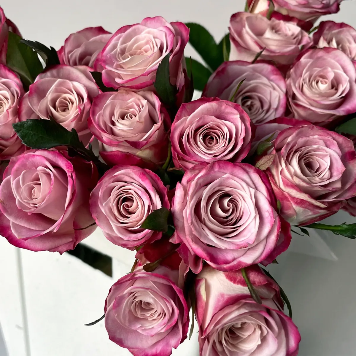 Роза "Класси Элисон"_3