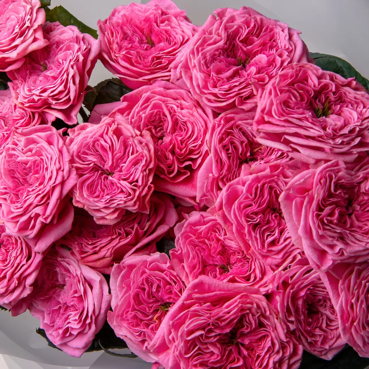 Букет Роза "Реджентс Парк"