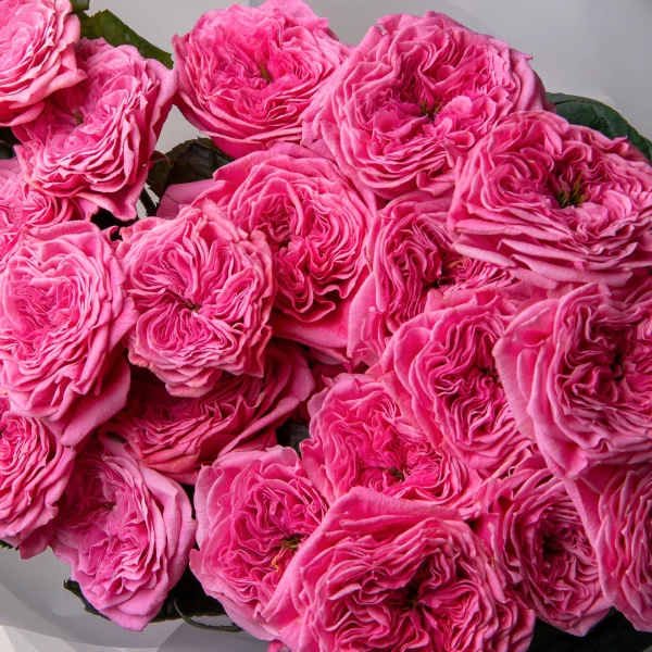 Букет Роза "Реджентс Парк"