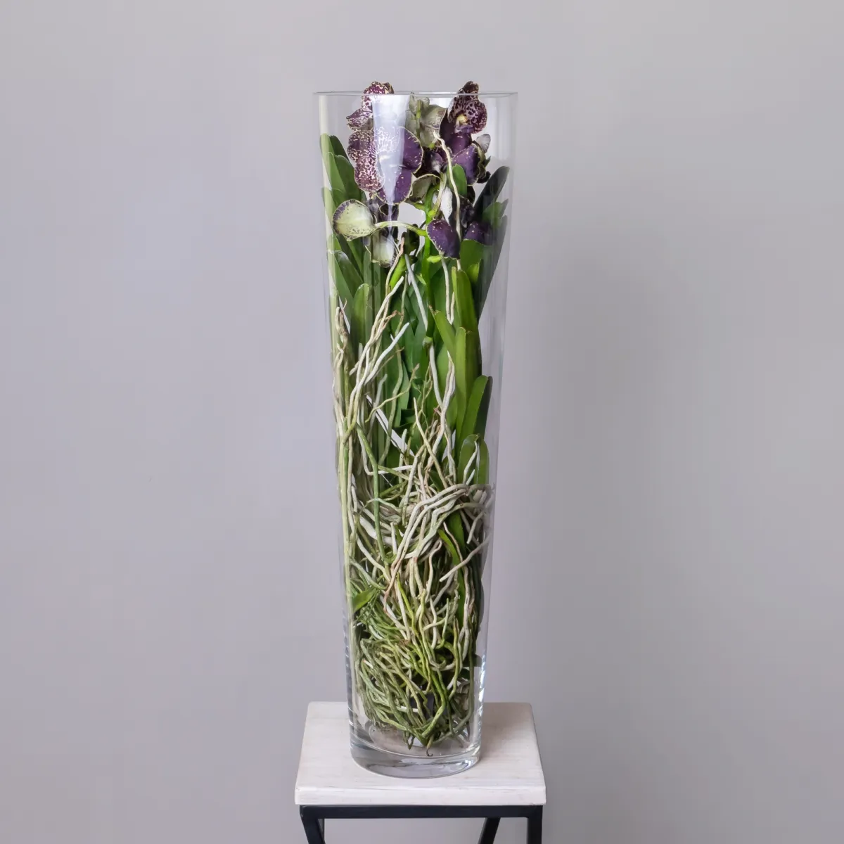 Ванда в стекле Мишель_1