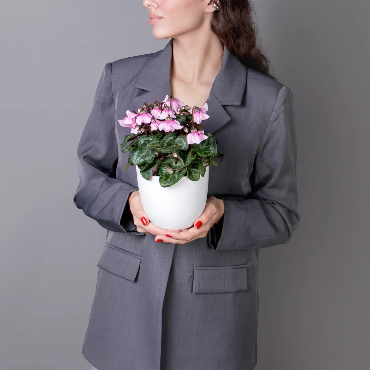 Цикламен Петтикоат розовый_2