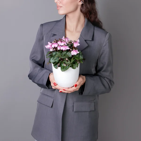 Цикламен Петтикоат розовый_2