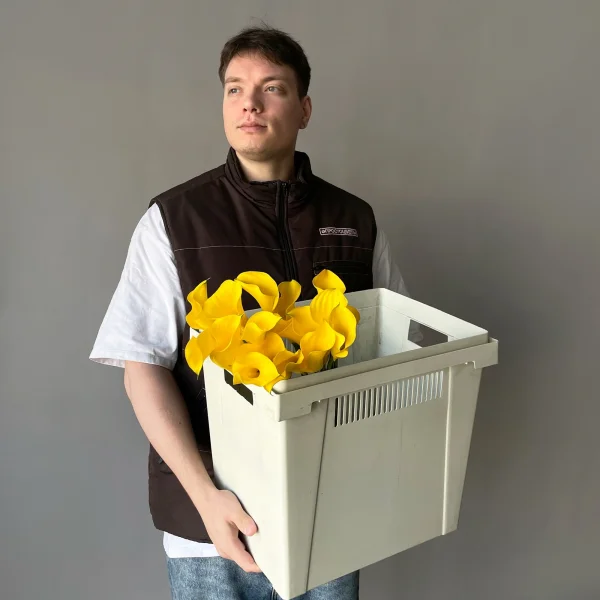 Калла "Голд Медаль"_2