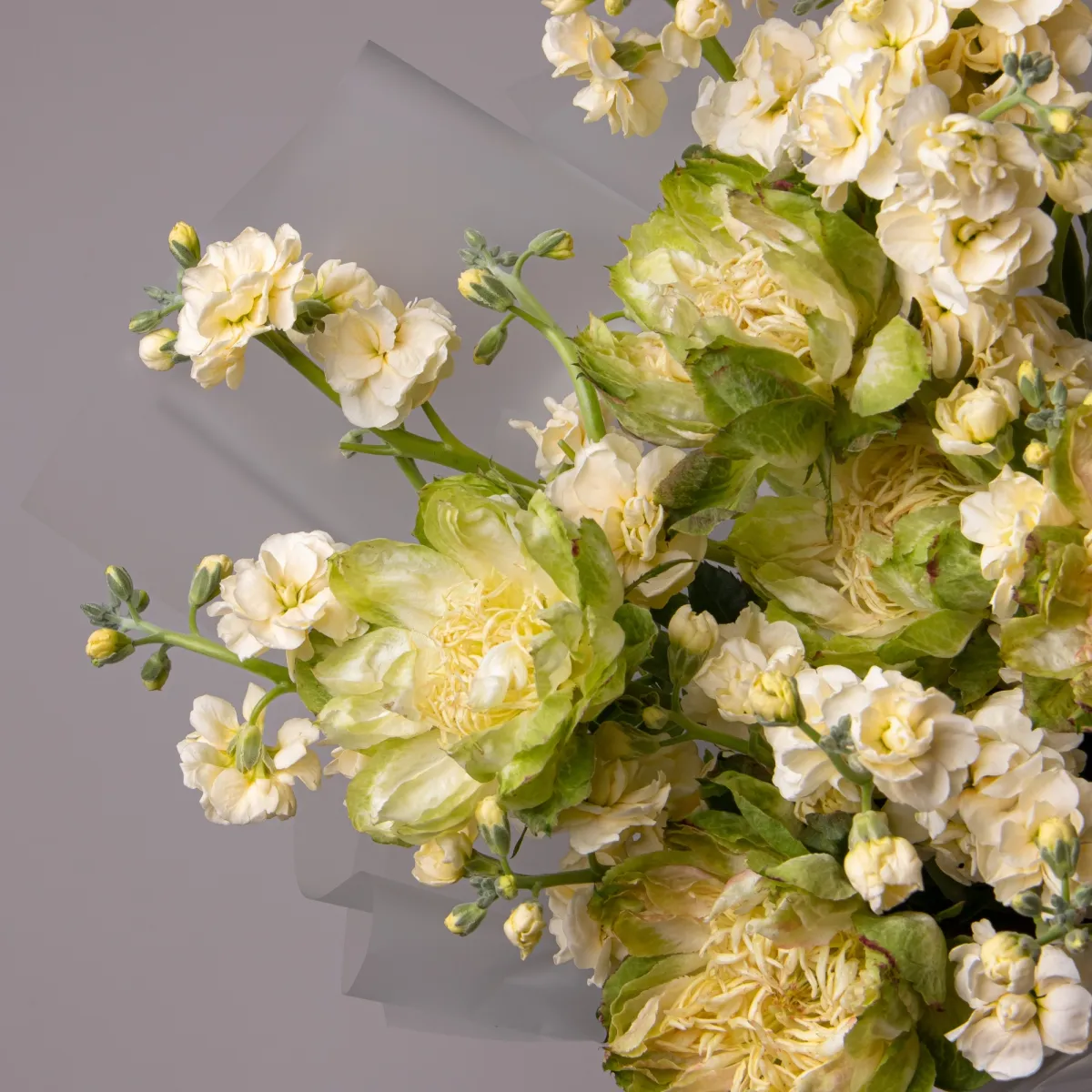 Флористический букет "Дуобукет из розы Вегги и кремовой маттиолы"_2