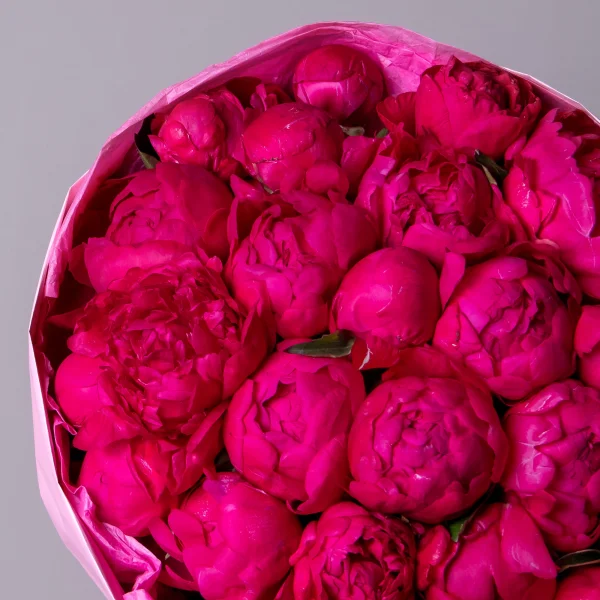 Букет Пион "Авис Варнер"_3