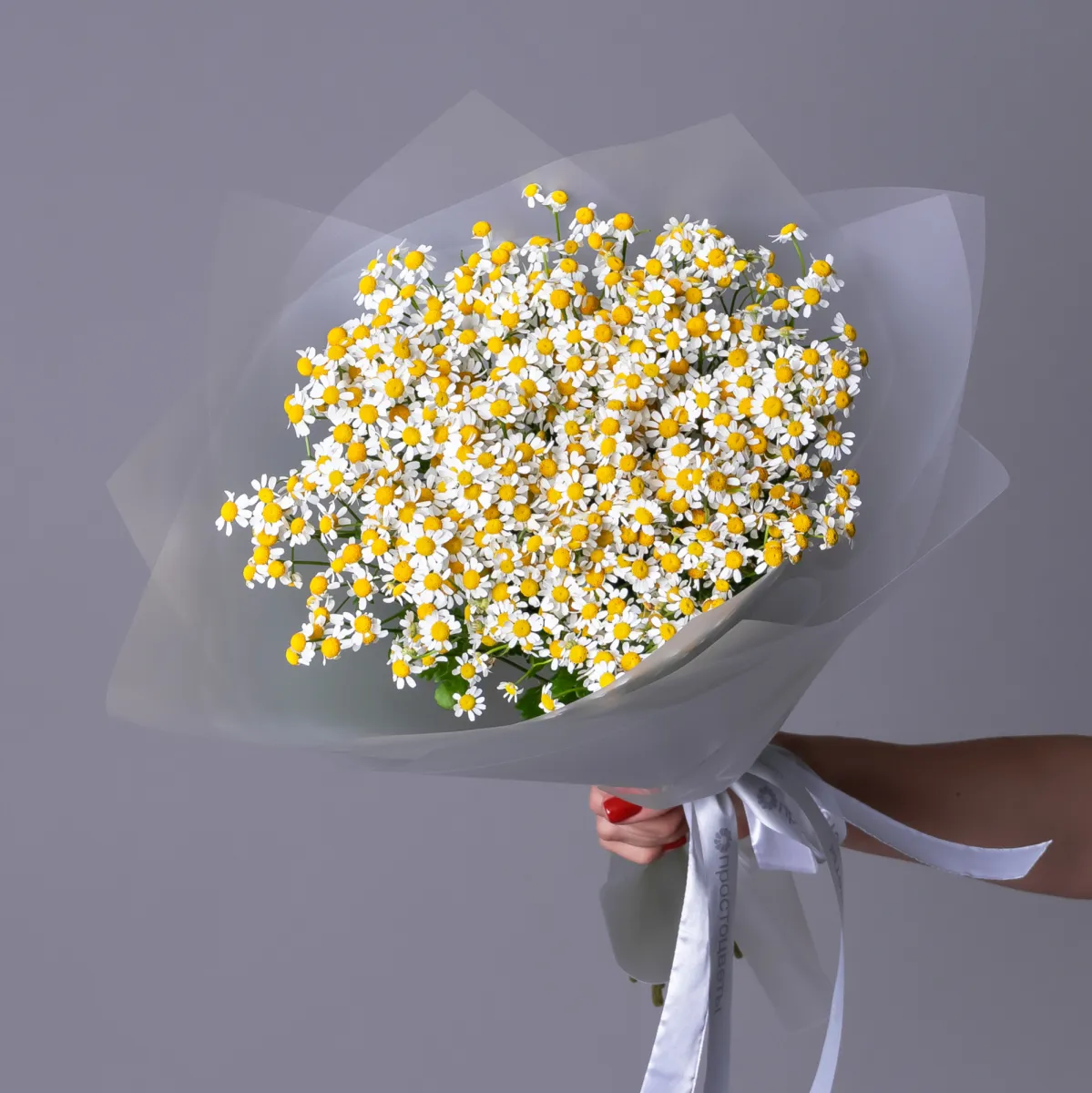 Букет Матрикария "Сингл Вигмо"_1
