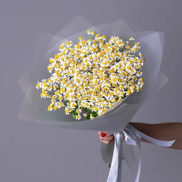 Букет Матрикария "Сингл Вигмо"_1