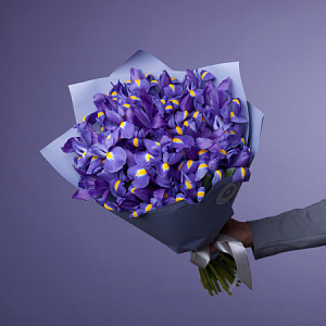 Букет Ирис "Блу Мэджик"