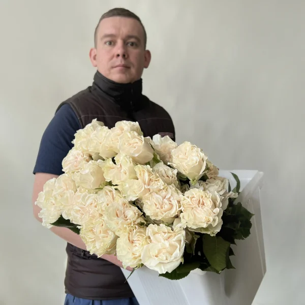 Роза "Коттон Экспрешн"2