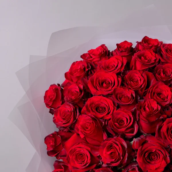 Букет Роза "Эксплорер"_3