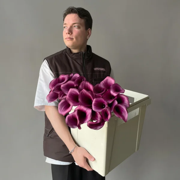 Калла "Дурбан"_2