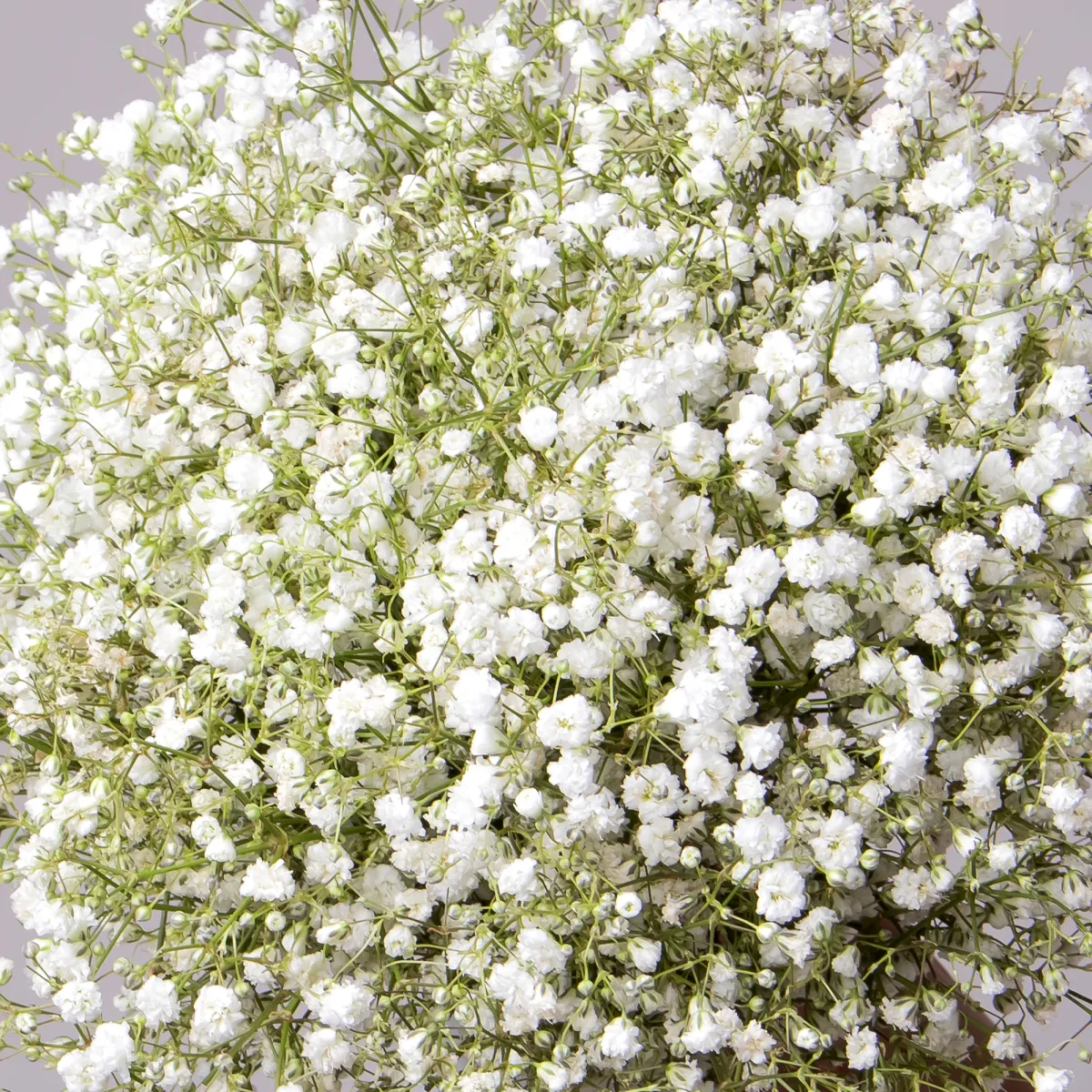 Букет невесты 4_5