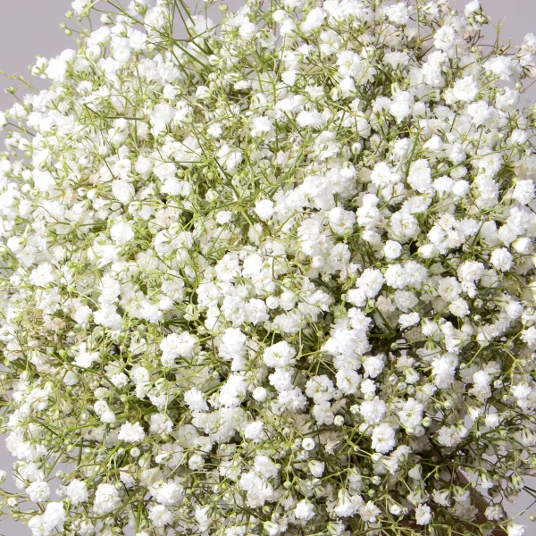 Букет невесты 4_5