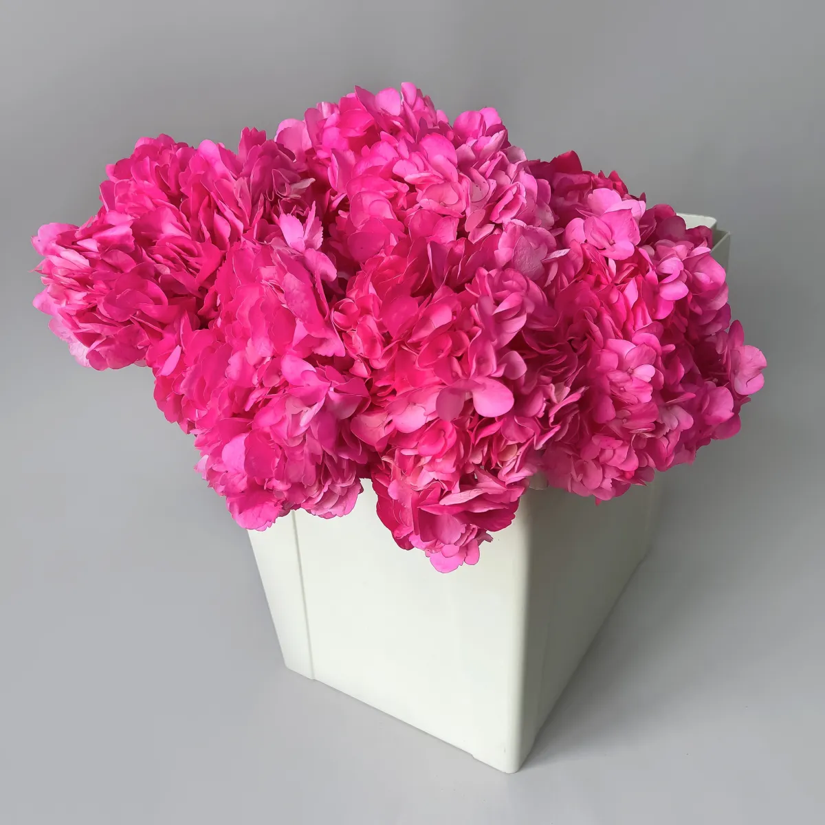 Гидрангия "Розевуд"