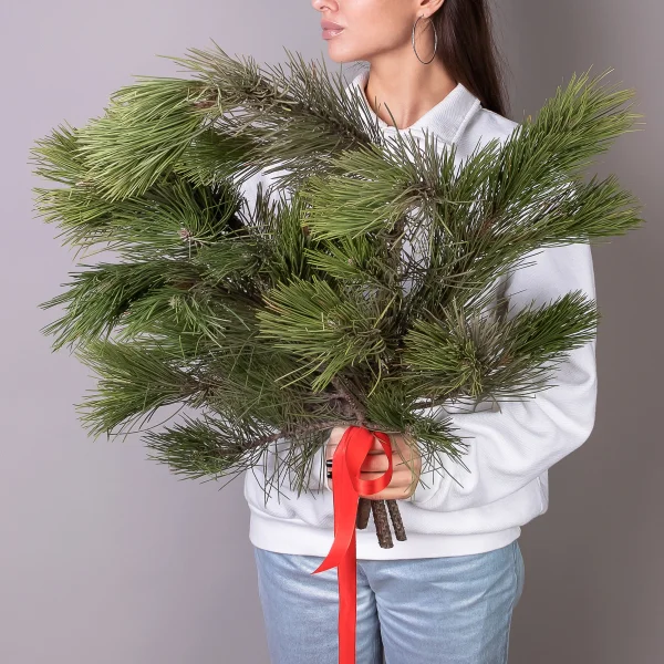 Букет Пинус "Зеленый"_2
