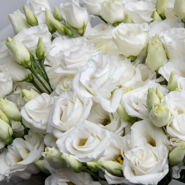 Букет Лизиантус "Ду Росита Белый"