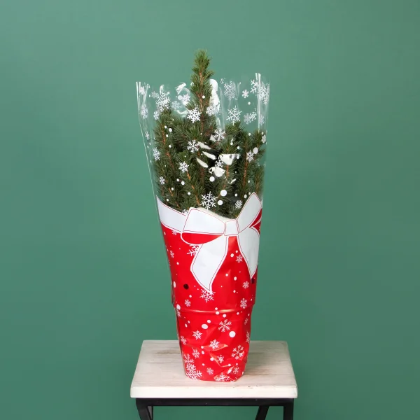 Ель Коника в новогодней упаковке_3