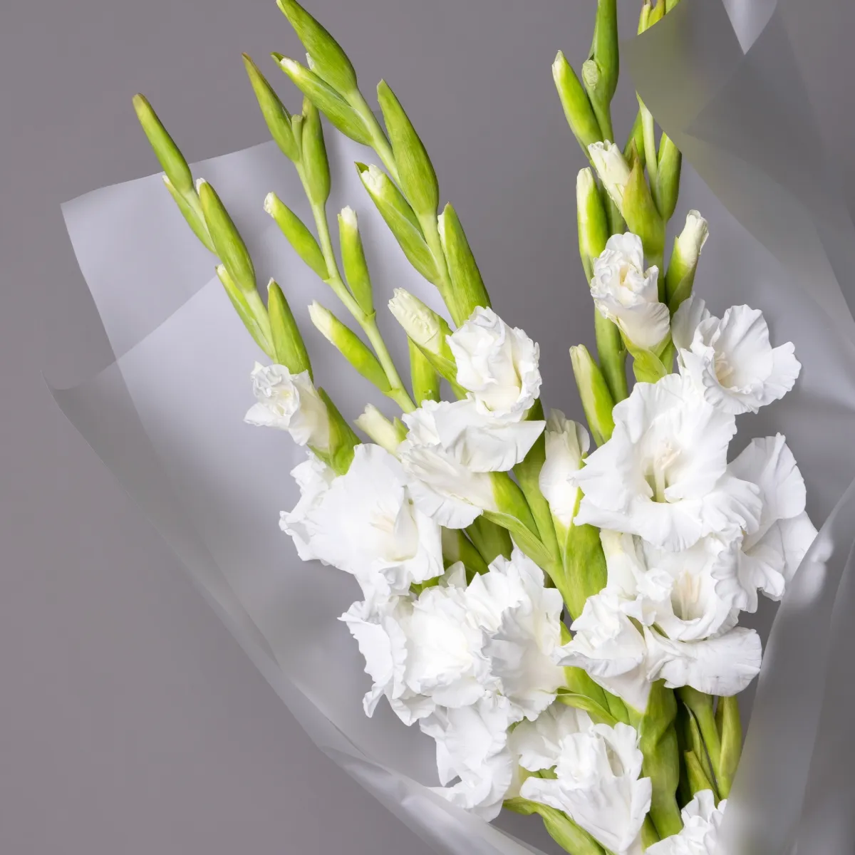 Букет Гладиолус "Эссеншл"_4