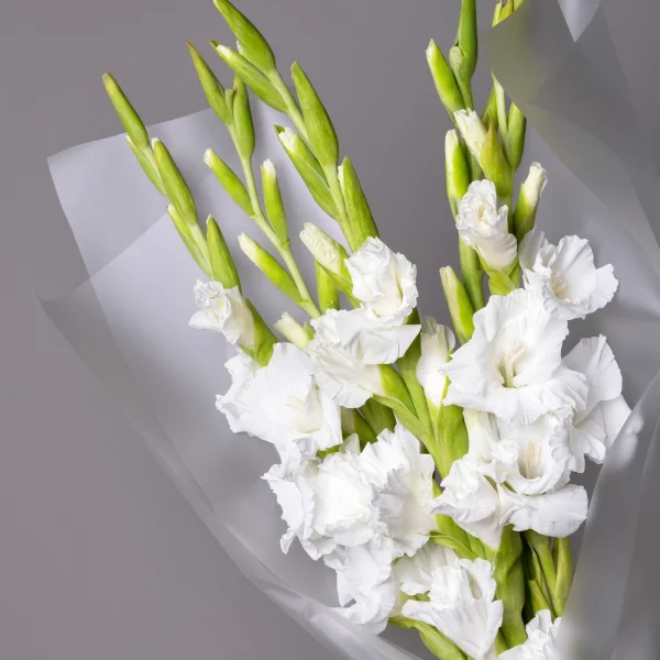 Букет Гладиолус "Эссеншл"_4