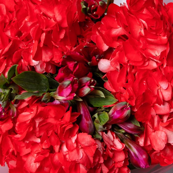 Флористический букет "Дуобукет из красной гортензии и альстромерии"4