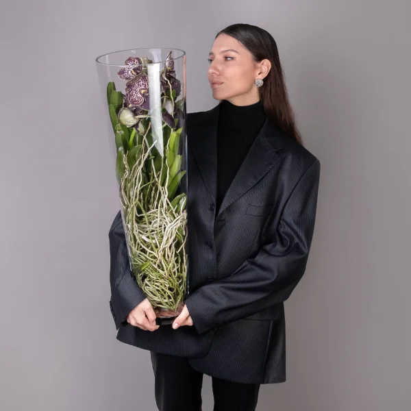 Ванда в стекле Мишель_2