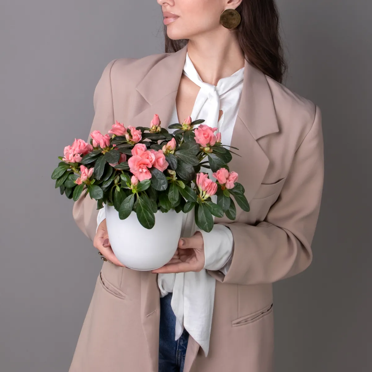 Азалия Тесла Лососевый_2