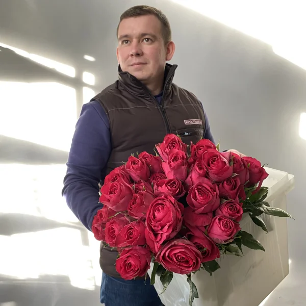 Роза "Мадам Чериз"